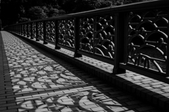fence