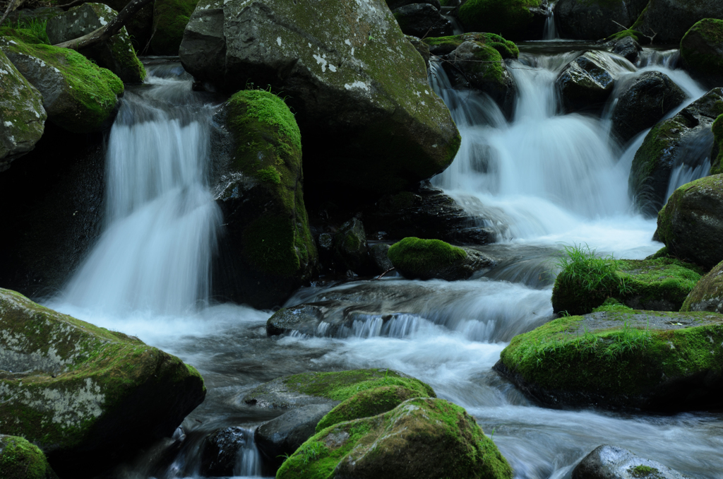 moss little falls ②