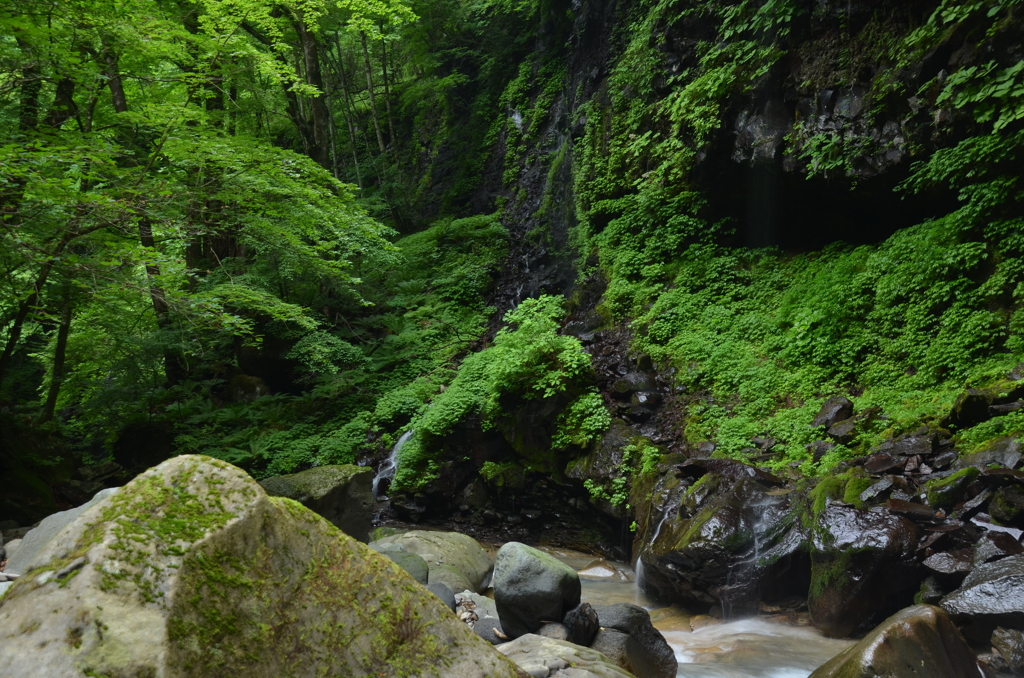 green world