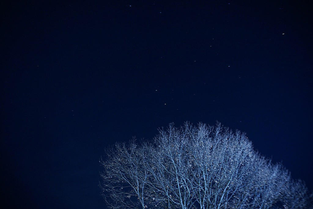 冬の夜空