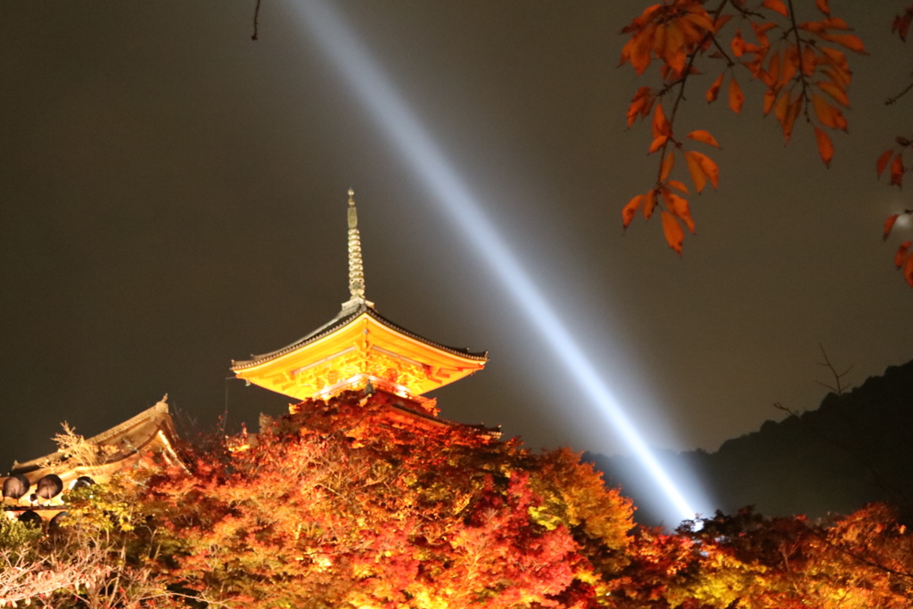 20161113182408_IMG_1267