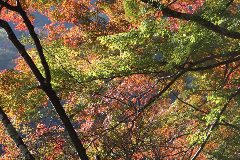 20161113093013_IMG_1097