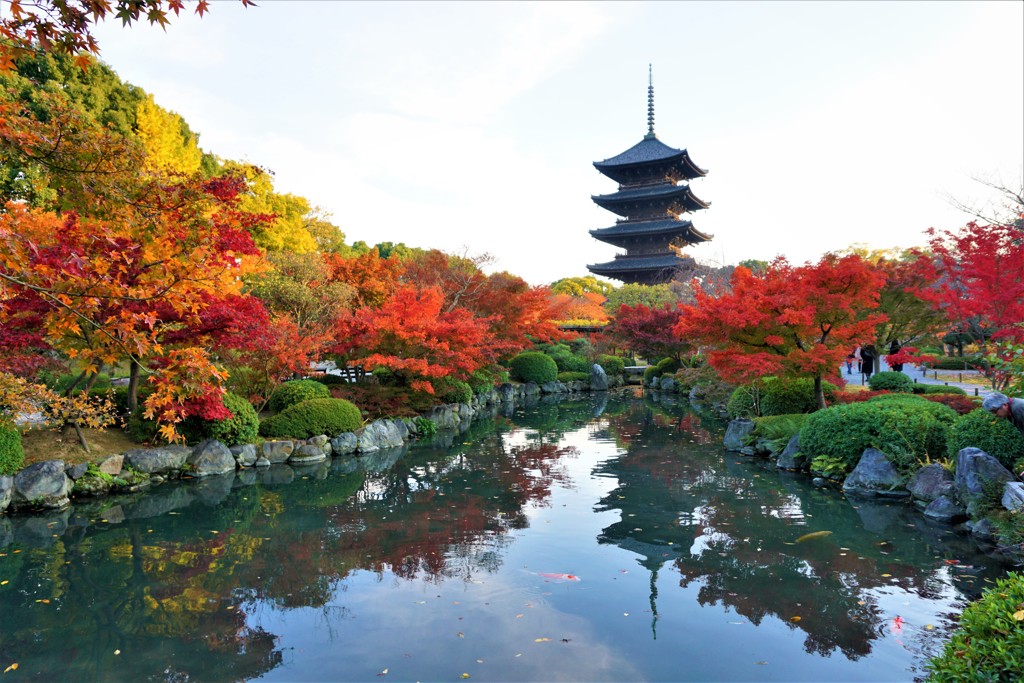 京都　東寺　五重塔