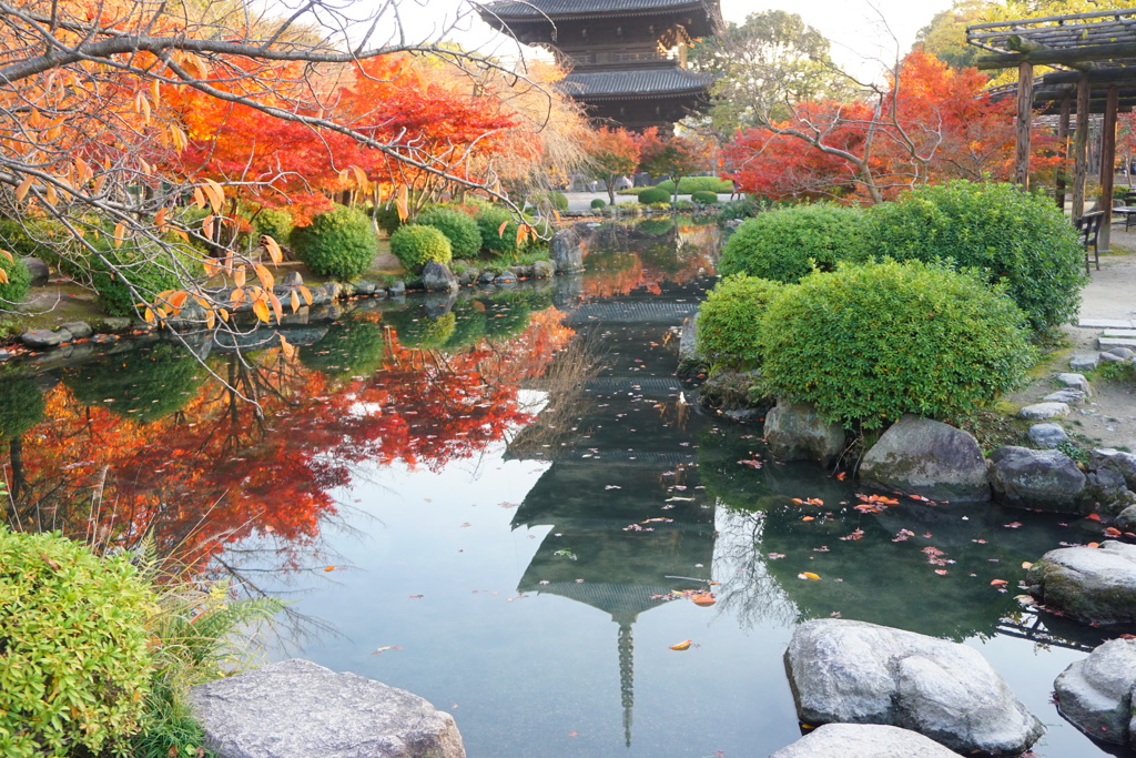 京都　東寺　池