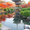 京都　東寺　池