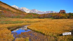 白馬八方尾根　黒菱平鎌池湿原