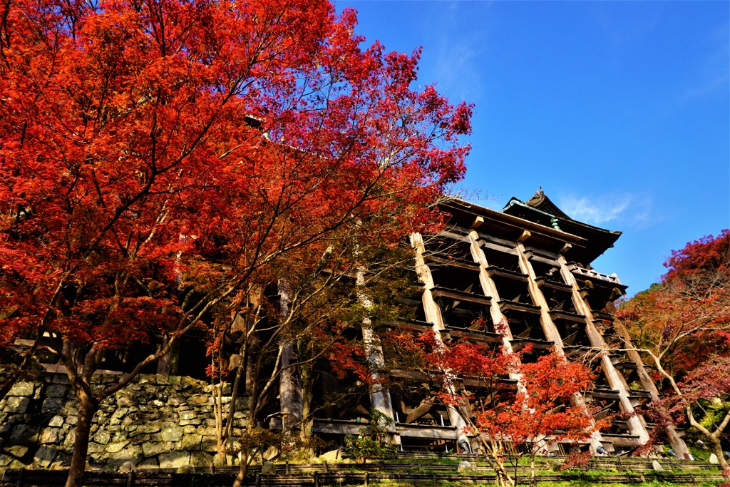 京都　清水寺　紅葉