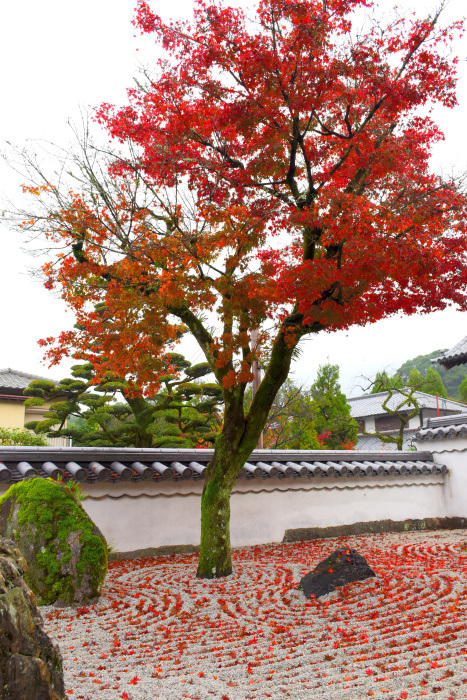 光明禅寺