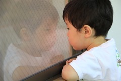 真実の眼