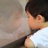 真実の眼