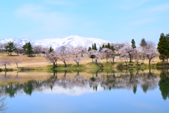 二季