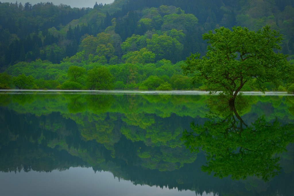 初山形県