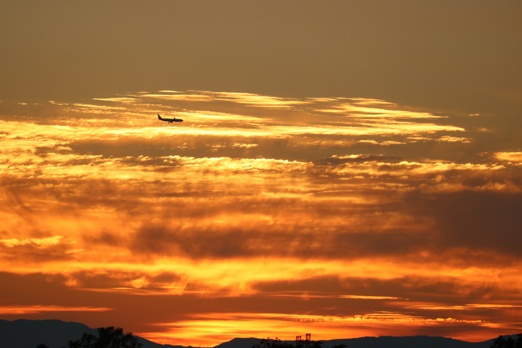 夕焼けに浮かぶ飛行機