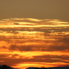 夕焼けに浮かぶ飛行機