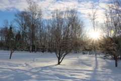 雪原