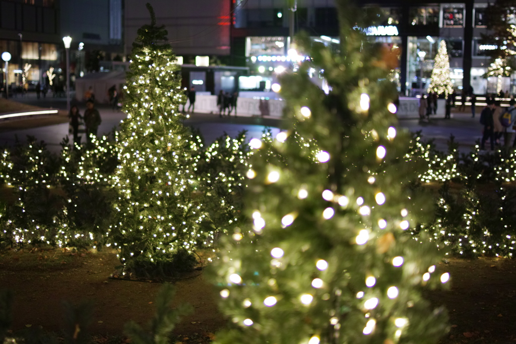 three tree