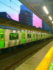 東京の色