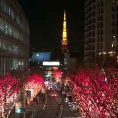 東京の光