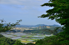 田植えの時期・・・