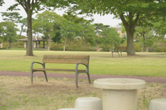 bench