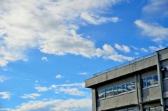 夏の空