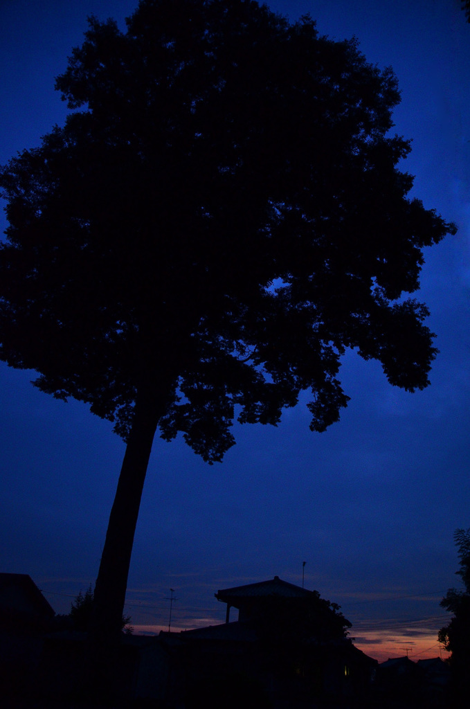 blue・・・