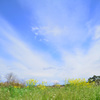 花と空と～