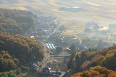 里山の朝