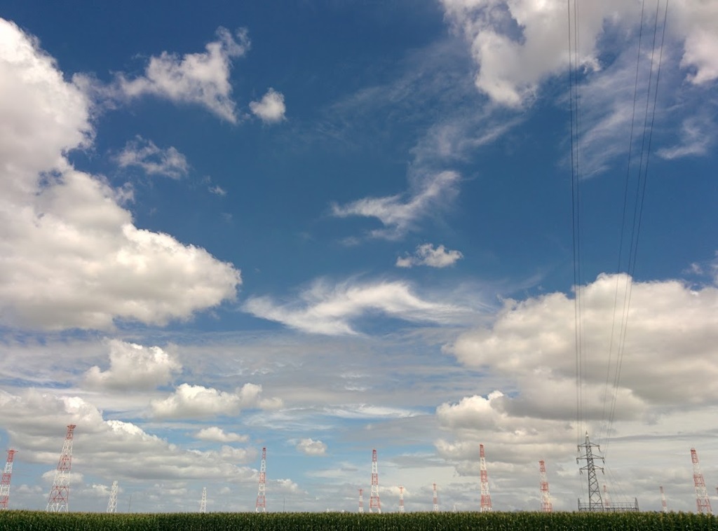 空と送電線とトウモロコシ畑