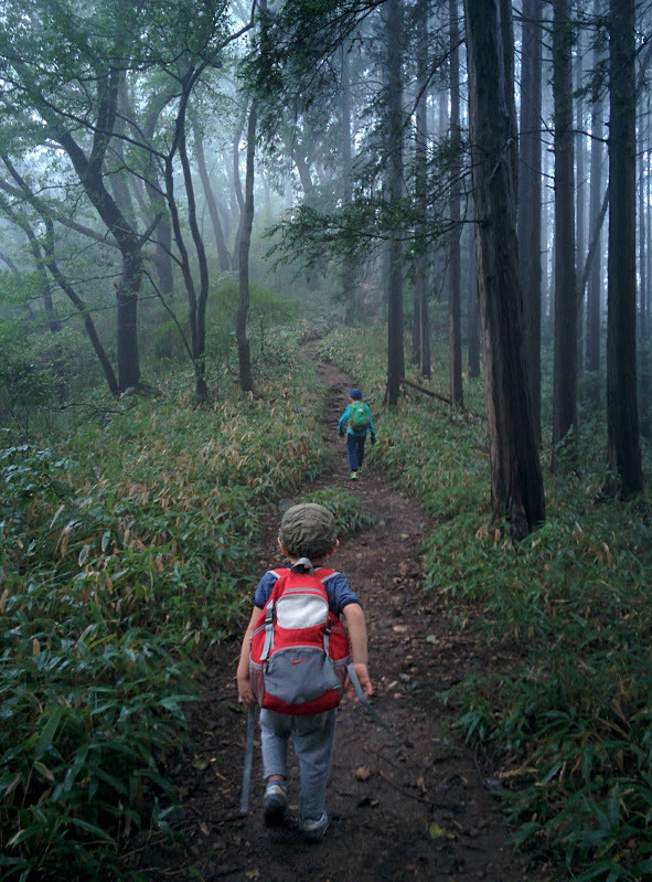 チビッコ登山隊