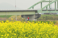 土手を歩く・・・