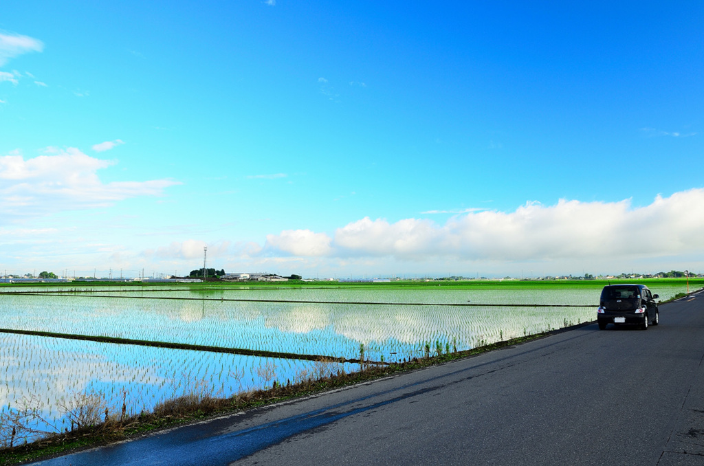 blue　sky