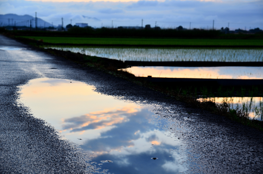 水溜りの雲・・・