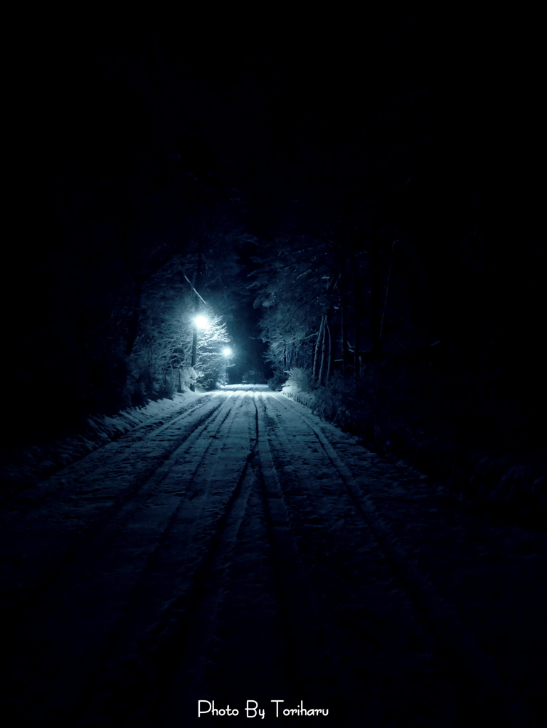 冬の夜 ～一寸先は光～