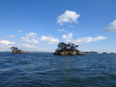 日本三景 松島の島々