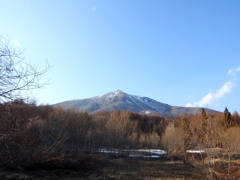 ぼくの探鳥地