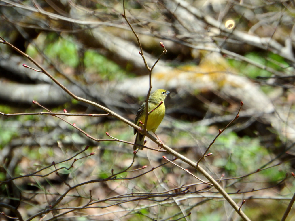 サービス少なめ