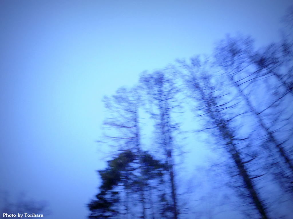 slow shutter