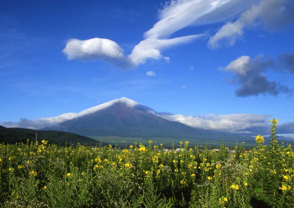 翼雲