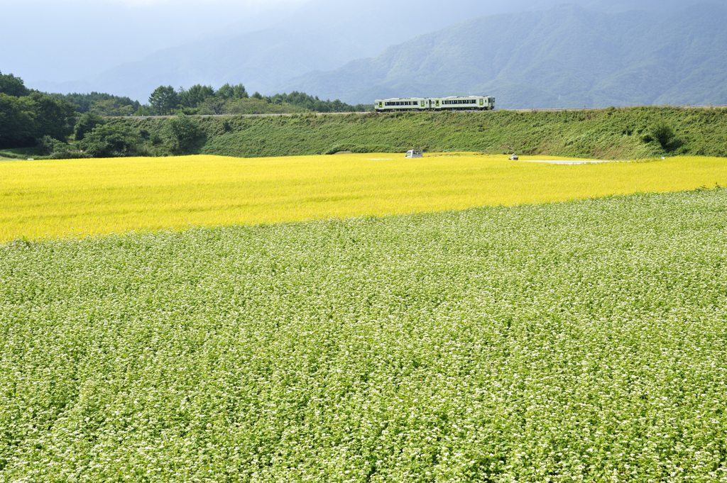 高原鉄道