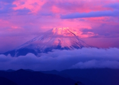 雲間の富士山