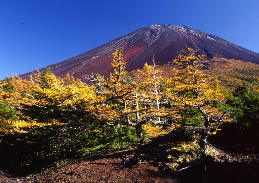 奥庭の紅葉