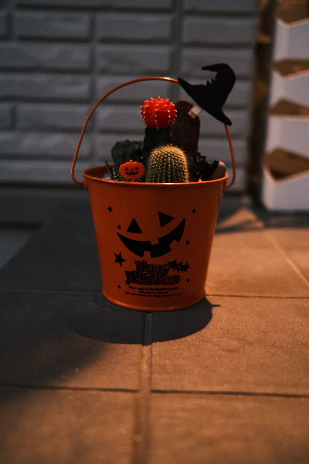 サボテンハロウィン②