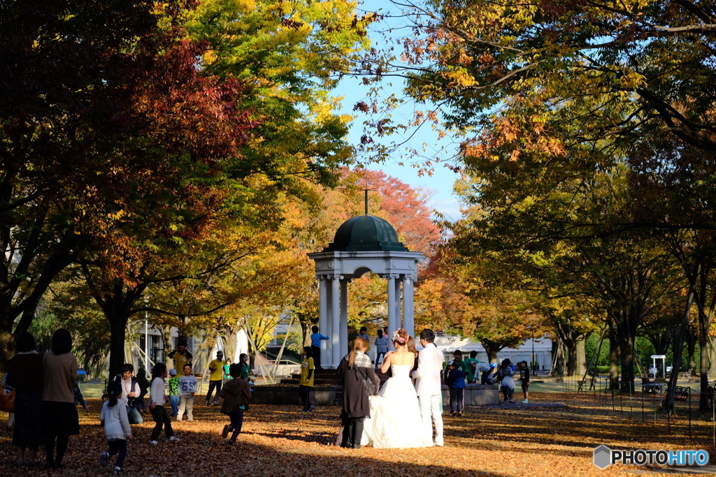 紅葉の中で(2)