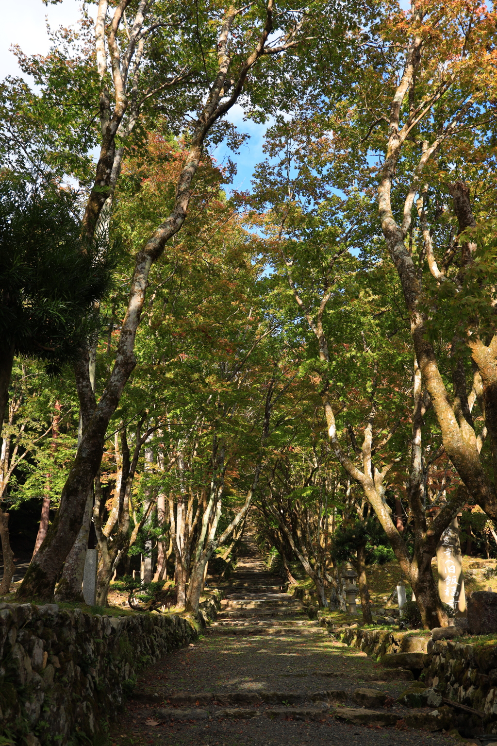 鷄足寺②