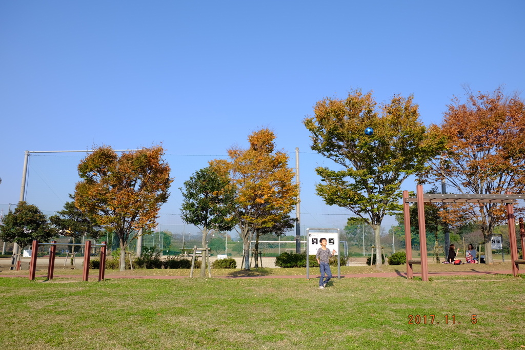 秋晴れ(1)