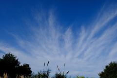 秋の空2016