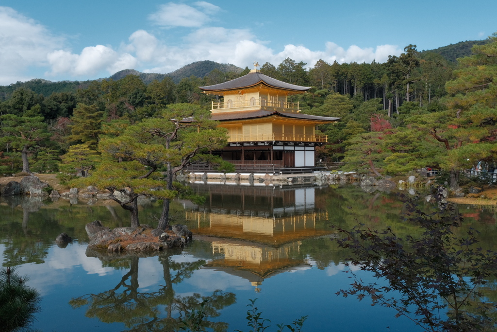 秋の金閣寺①