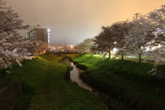 春の夜　はじまり