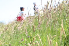 草すべり